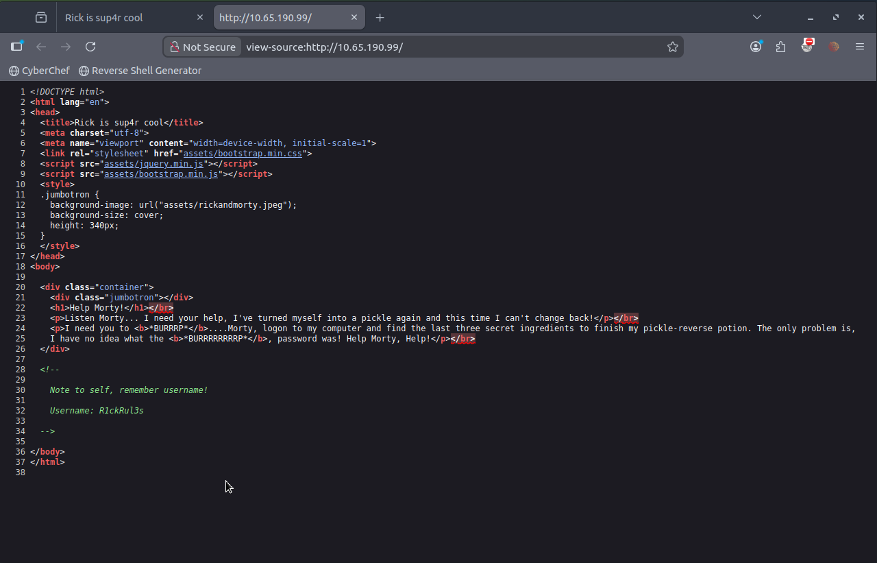 Pickle Rick - page source 1.png