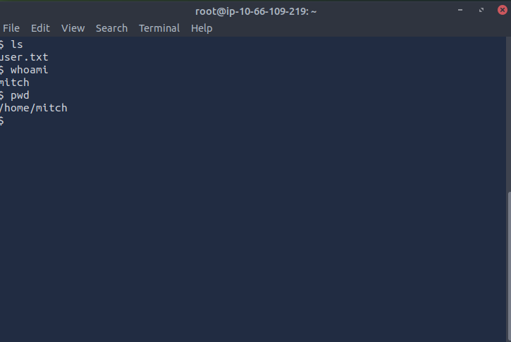 SSH login as Mitch.png